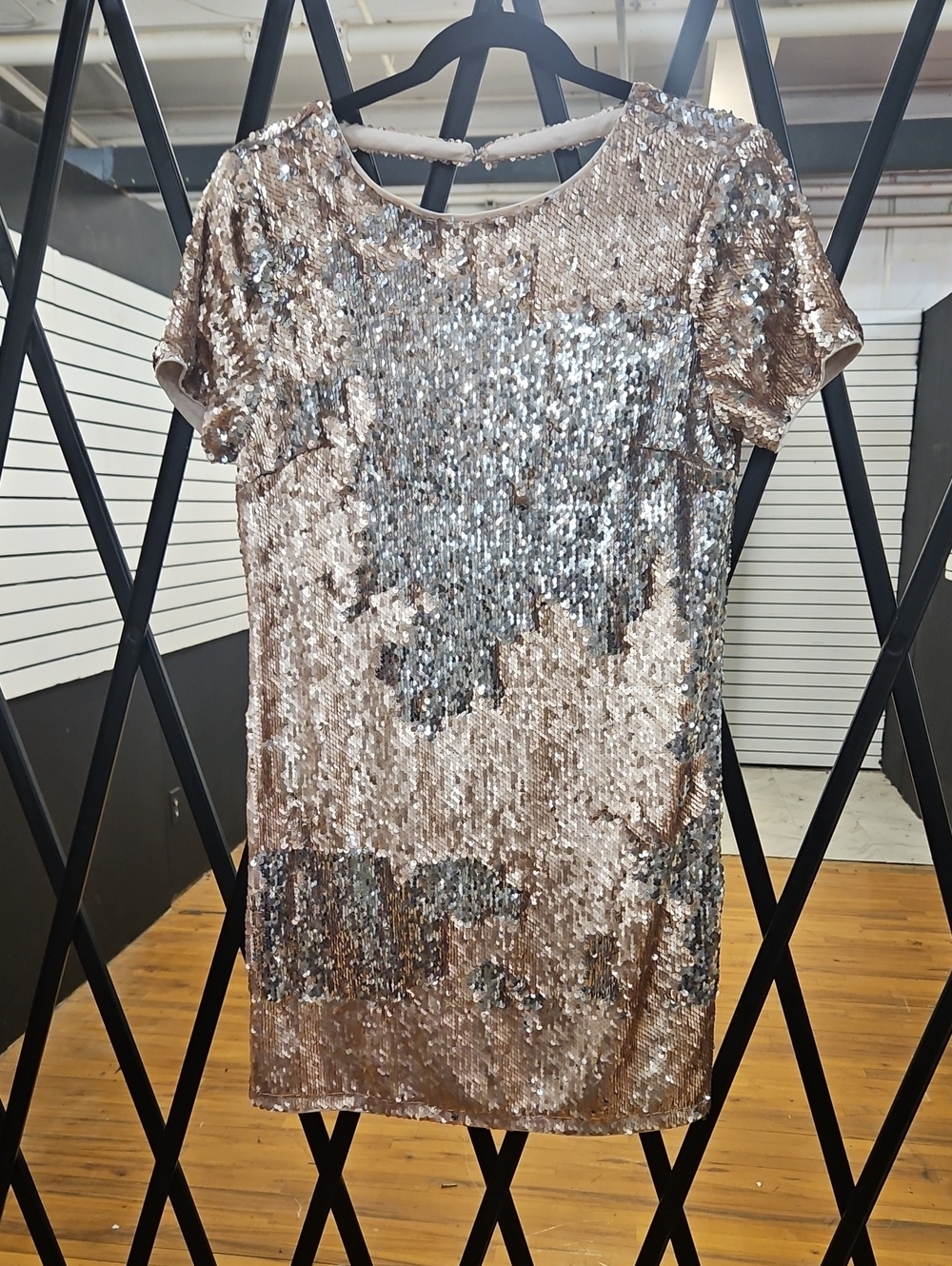 Forever 21 Champagne and Silver Sequin Short Sleeve Top